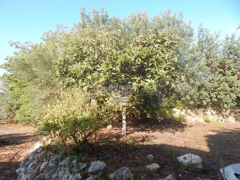 Foto b0dbdc0c-754d-4606-b063-f3e3780a9763. Maison dans El Pilar Ontinyent