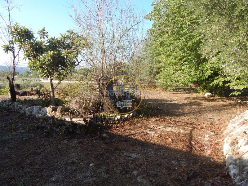 Foto dc85e373-d1a0-43b3-b2db-97d787be1c14. Maison dans El Pilar Ontinyent