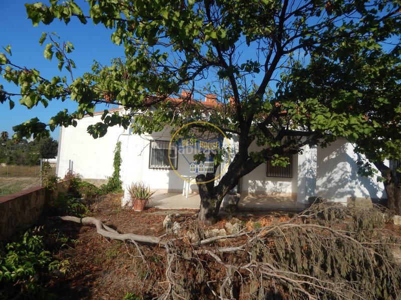 Foto e5b2b932-4b54-458d-899e-4c05d9847003. Maison dans El Pilar Ontinyent