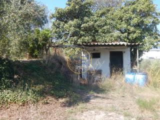 Terreny residencial a Sant Josep-Zona Hospital. Oportunidad parcela de regadío con árboles frutales en plena pro
