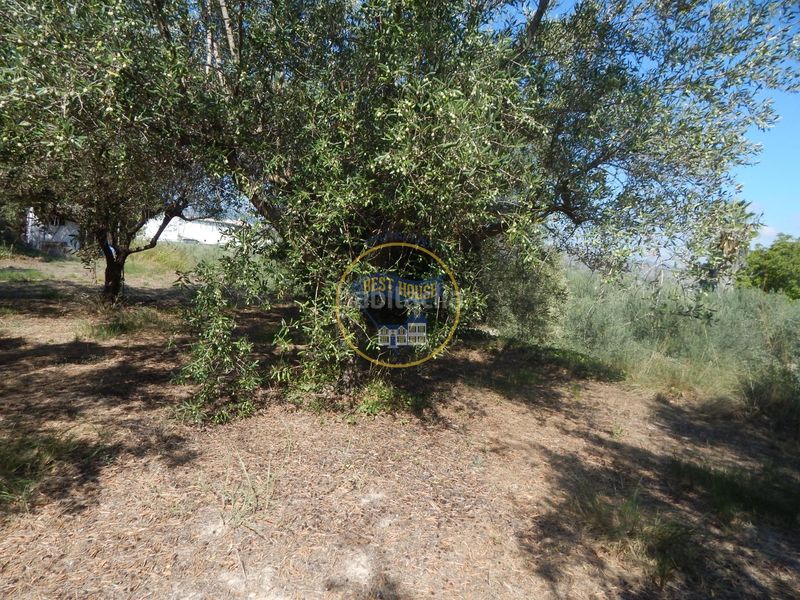 Foto 3b2529f9-82eb-4c6c-b27a-73d6eedd3b9d. Finca rústica a Sant Josep-Zona Hospital Ontinyent