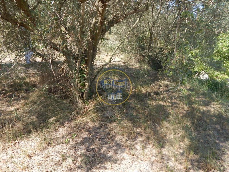 Foto 51e7c7e7-dce8-48a8-97bd-0b1148ca1c17. Finca rústica a Sant Josep-Zona Hospital Ontinyent