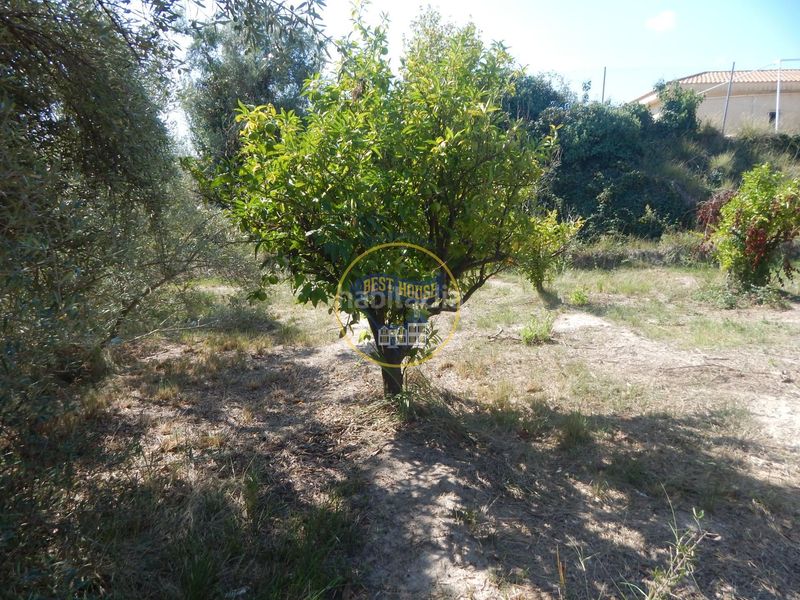 Foto 5a237809-897c-43b8-a06b-b17ca096983b. Finca rústica a Sant Josep-Zona Hospital Ontinyent