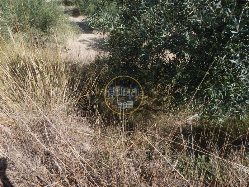 Foto 6f9bf022-cbff-4d0e-8b00-4b974530b7f2. Finca rústica a Sant Josep-Zona Hospital Ontinyent
