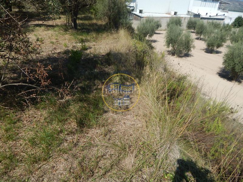 Foto 719f16bd-9d83-4d0d-8912-0f434a694cbb. Finca rústica a Sant Josep-Zona Hospital Ontinyent
