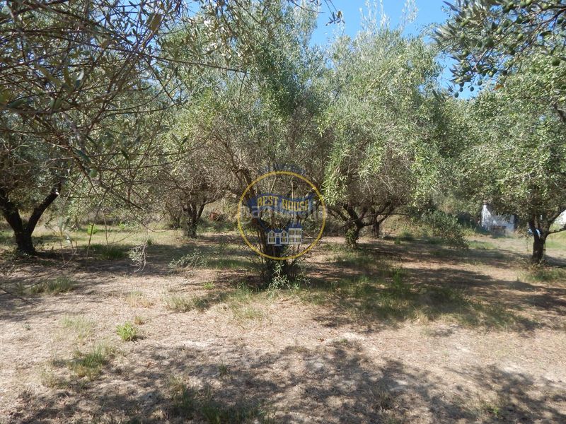 Foto b067eec3-8d29-49f0-80a1-f707e1094d3e. Finca rústica a Sant Josep-Zona Hospital Ontinyent