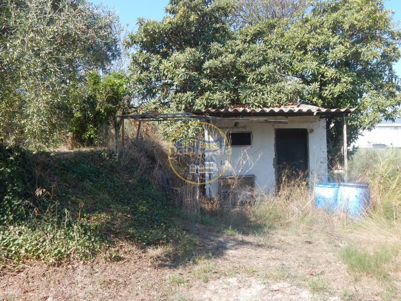 Foto db38e56c-a13c-49a6-871c-aa5282c0c3cf. Finca rústica a Sant Josep-Zona Hospital Ontinyent