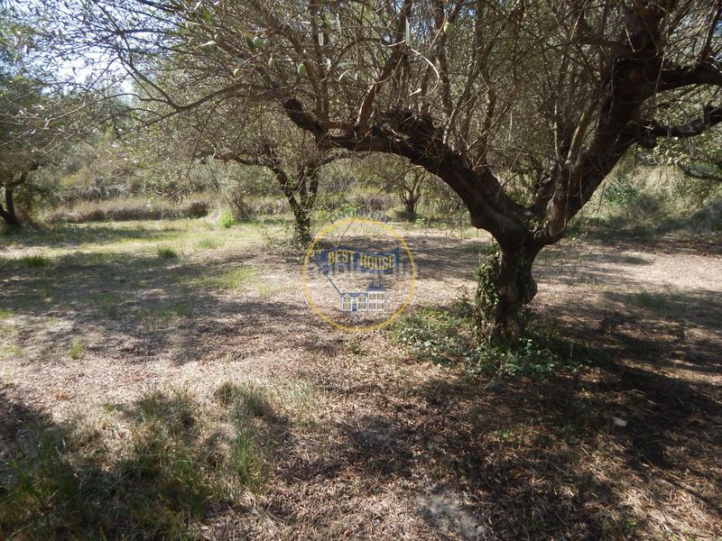 Foto ddce3b47-e83b-4981-b439-bfd5086b9eff. Finca rústica a Sant Josep-Zona Hospital Ontinyent