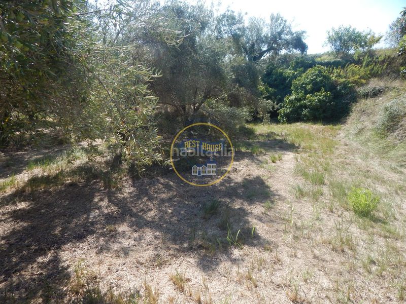 Foto ee178100-366b-491f-a95c-2294c895f93b. Finca rústica a Sant Josep-Zona Hospital Ontinyent