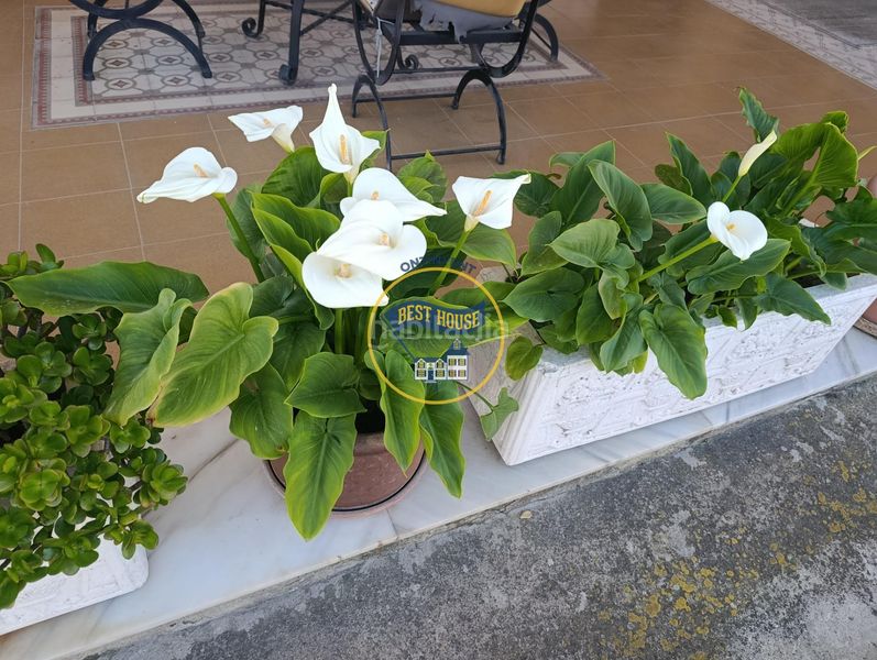 Foto fa901c31-41e0-4826-813d-a1568210b822. Xalet amb piscina a Centro Ontinyent