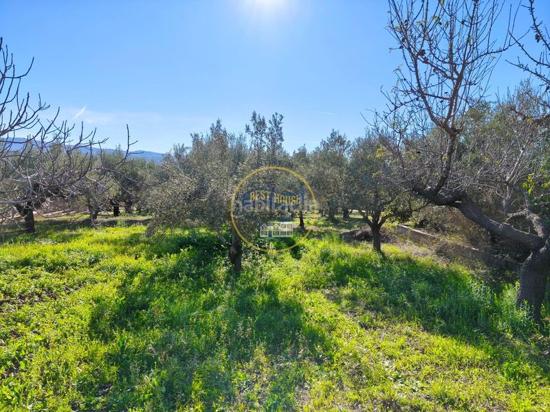 Foto 0b132a78-f296-47a3-aa87-c9416e7f5d22. Casa a Sant Josep-Zona Hospital Ontinyent