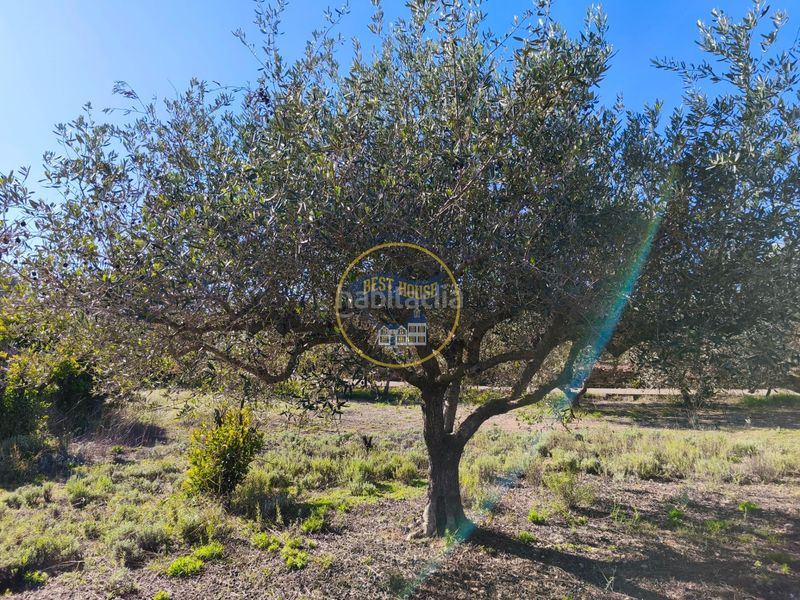 Foto 1e5d451f-b89f-407e-817d-68fa2611cdb2. Casa a Sant Josep-Zona Hospital Ontinyent