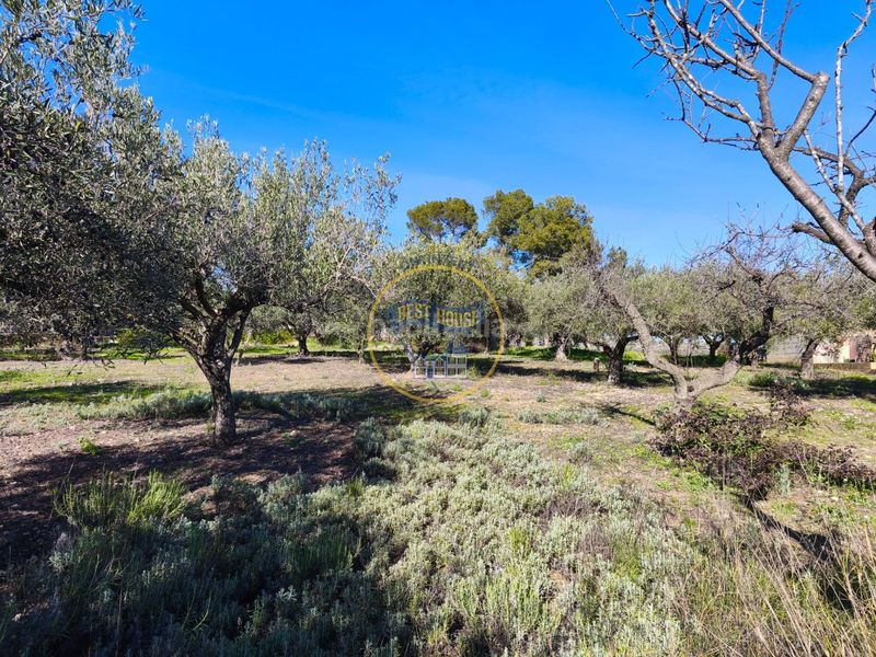 Foto 361c45a0-589a-4024-b0d0-8fcb439fdaab. Casa a Sant Josep-Zona Hospital Ontinyent