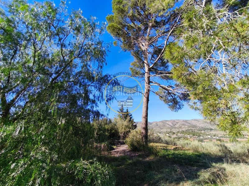 Foto 3ac2f5d6-e5a2-4893-b497-9410ff0a4199. Casa a Sant Josep-Zona Hospital Ontinyent