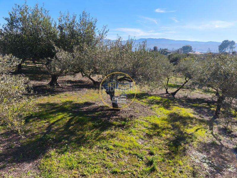 Foto 7b46ab86-f8a1-4e09-bc8f-cf1c64da8aa7. Casa a Sant Josep-Zona Hospital Ontinyent