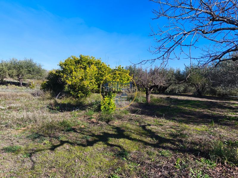 Foto affbcefb-e63a-4cfa-9cb8-41192dd55206. Casa a Sant Josep-Zona Hospital Ontinyent