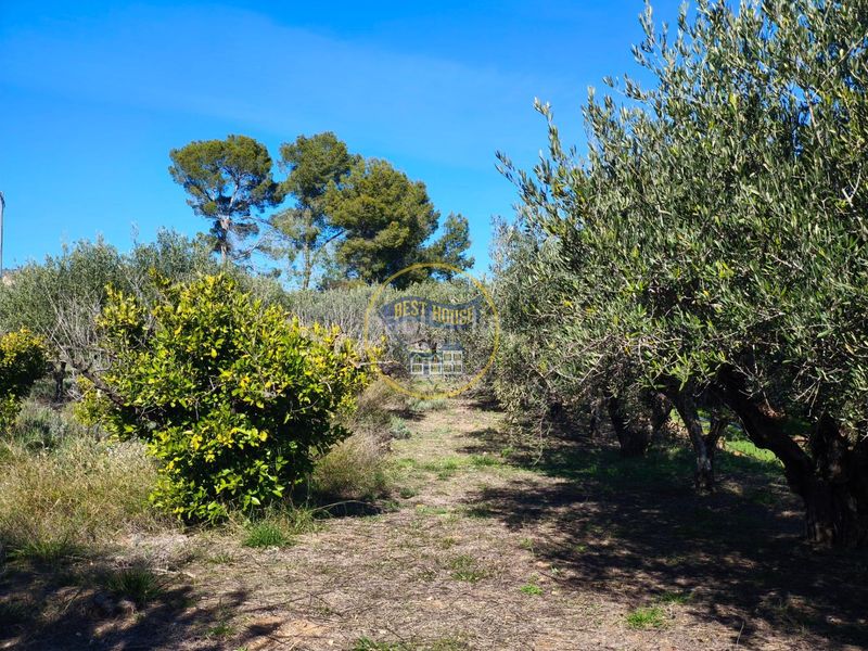 Foto dc8135b8-d7db-48a2-9c27-5766fbe7924e. Casa a Sant Josep-Zona Hospital Ontinyent