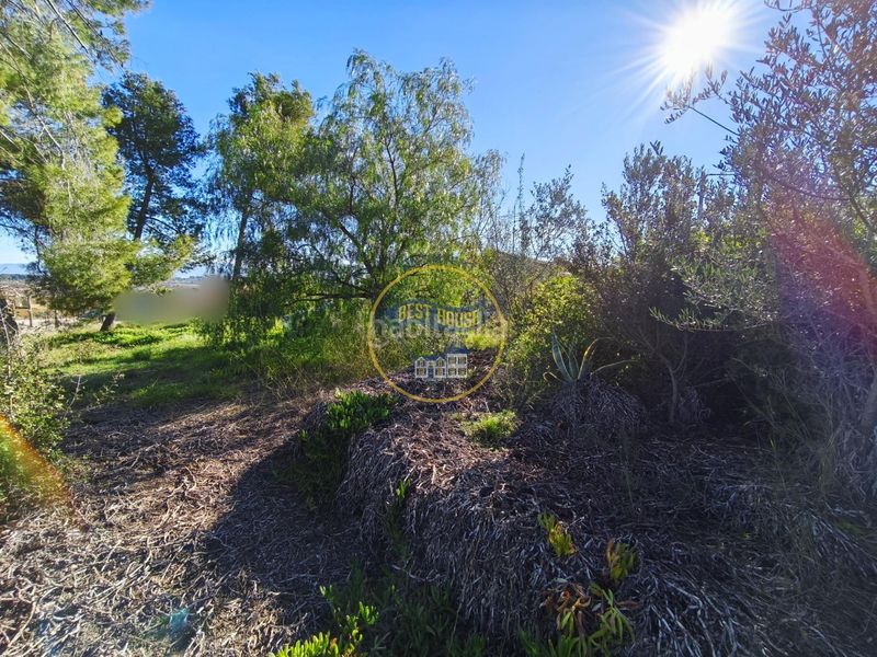 Foto eb77c818-75c1-4e79-8fe9-bd58d69d3fb5. Casa a Sant Josep-Zona Hospital Ontinyent