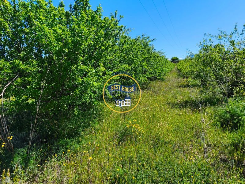 Foto 5875a53d-df6f-46d3-b731-620d439c12eb. Finca rústica a Albaida