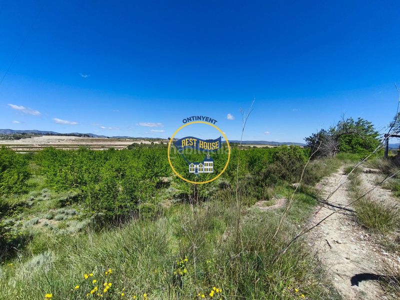Foto 91e105bf-2ff2-4312-8fad-f0d3e528d20f. Finca rústica a Albaida