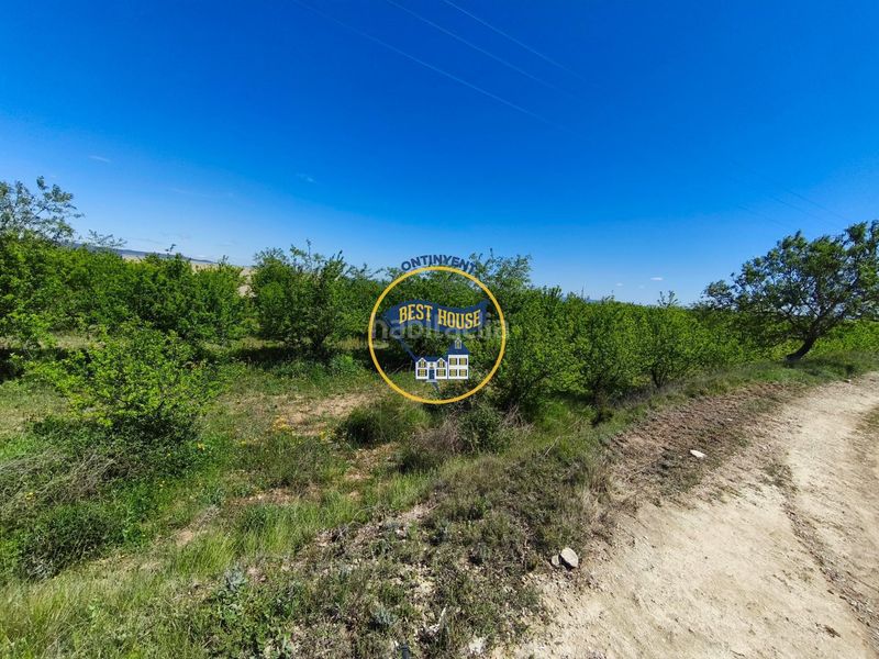 Foto e2ffb68a-88ae-4337-9103-9021bff8c0b2. Finca rústica a Albaida