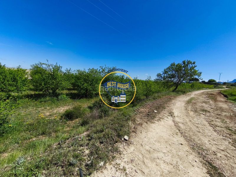 Foto e9189dd3-8d27-4f65-9437-569ed4098dc6. Finca rústica a Albaida