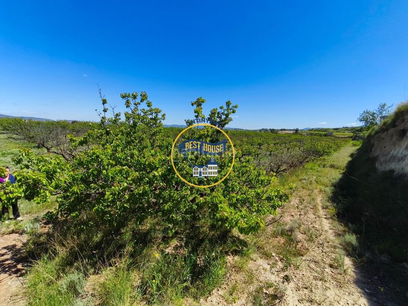 Foto f3af84e4-54dc-4f89-92c2-5528295a83bb. Finca rústica a Albaida