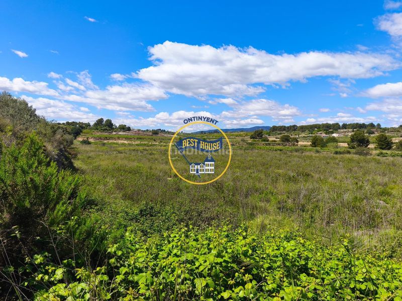 Foto 54a3fa7d-ec21-47ca-b56a-713d9690a63c. Finca rústica a Agullent