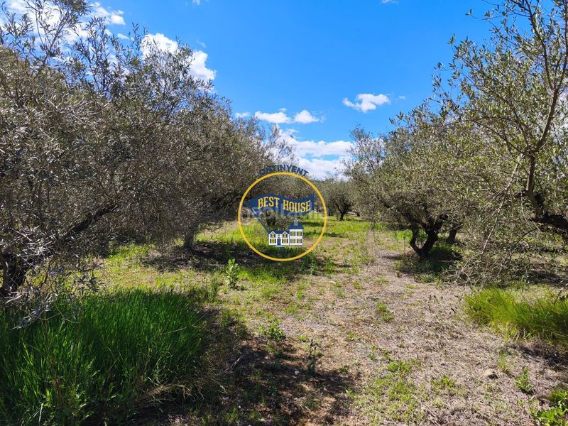 Foto 6eb124e5-73db-43c2-932c-413db7c414a9. Finca rústica a Agullent