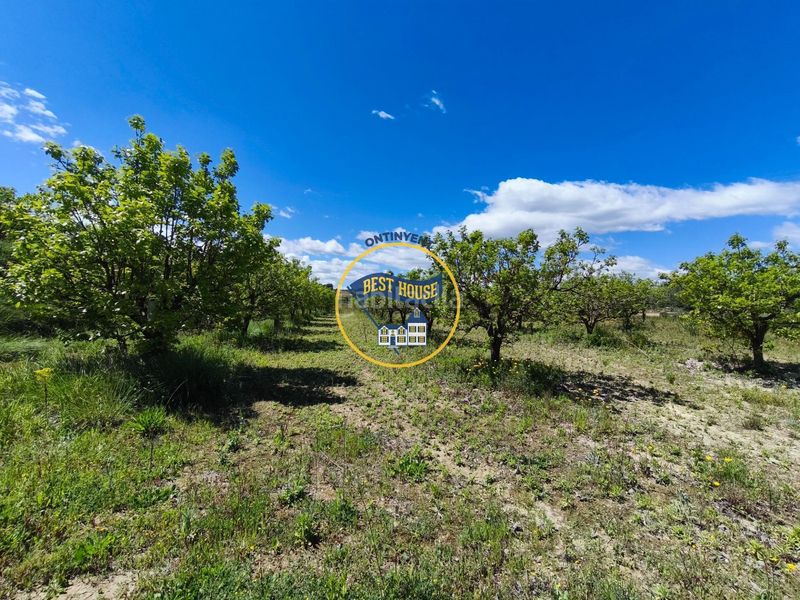 Foto c4d8c66a-d218-4d70-99a1-bda81d3fc6df. Finca rústica a Agullent