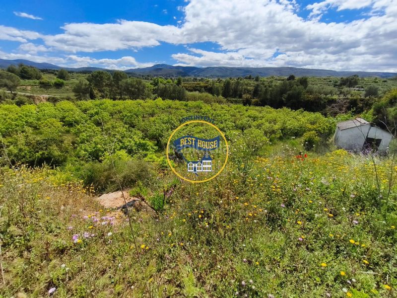 Foto b7d7be8c-6259-444d-924d-5dd64cf7eb43. Finca rústica a Benisoda