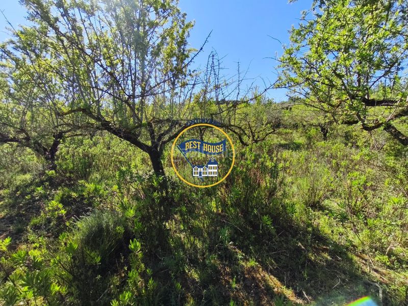 Foto 45b6181d-f989-4b94-b049-508265b5e1cd. Finca rústica a Albaida