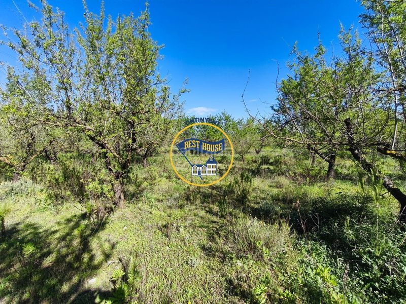 Foto c8d452fa-d7dc-4c4e-ba21-bbb73ccfd053. Finca rústica a Albaida