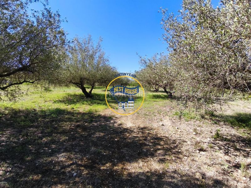 Foto 79daff64-e65e-4802-a84f-650aa04d7499. Casa a Albaida