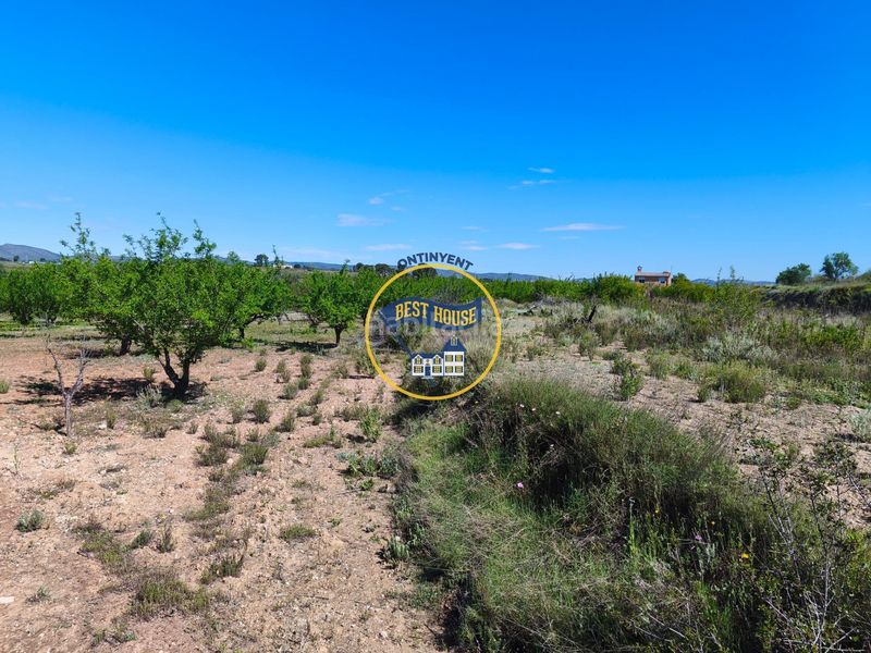 Foto ce0286fb-8ad7-4499-9247-46c74484a488. Casa a Albaida