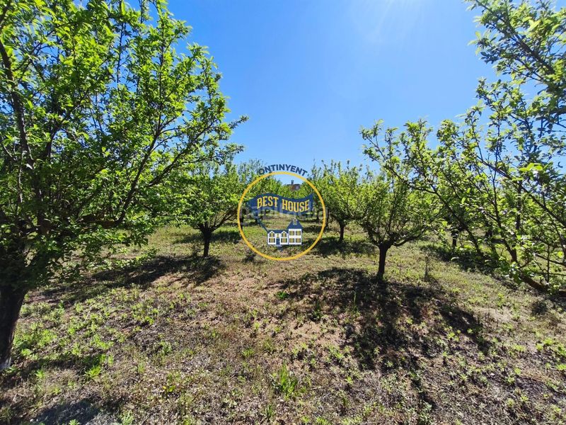 Foto e772f4d3-e00f-4328-856e-63b2a3571ce7. Casa a Albaida