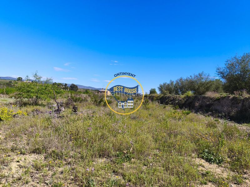 Foto e9cc41c1-3d3c-4fb3-a52d-78661d4d1365. Casa a Albaida