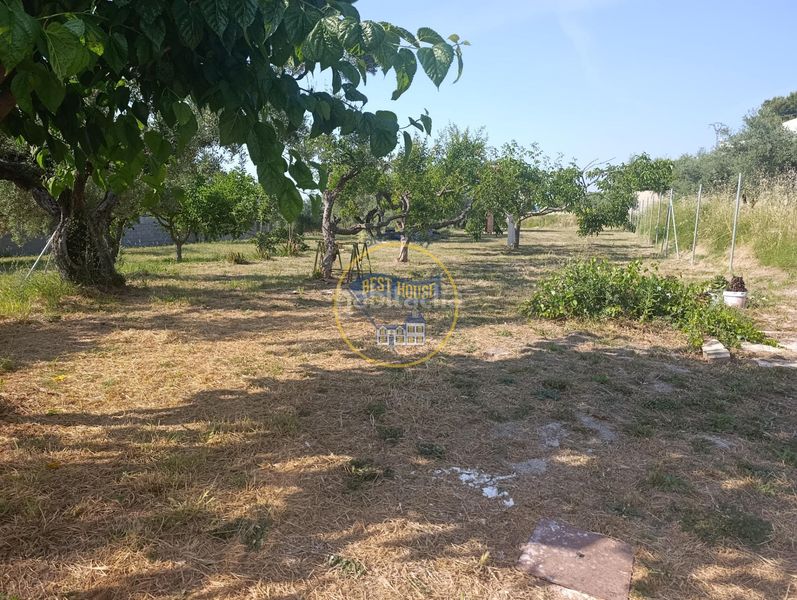 Foto 133ea42b-d476-4a8c-9719-2aed602ef564. Casa a Sant Josep-Zona Hospital Ontinyent