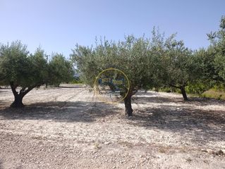 Rural plot in Sant Josep-Zona Hospital. Oportunidad amplia parcela con arboles frutales y muy buenas vis