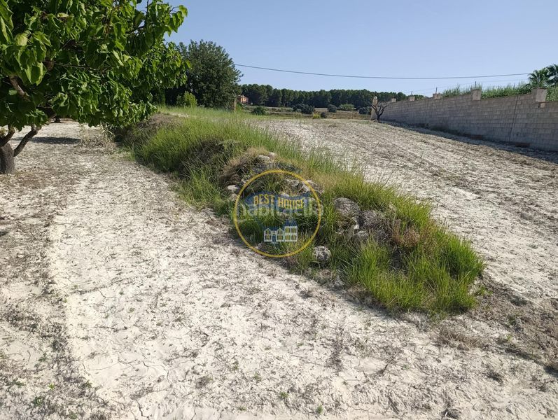 Foto 0770f03d-ca15-4db7-ac45-179664b03eee. Finca rústica a Sant Josep-Zona Hospital Ontinyent