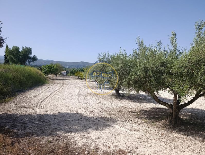 Foto 346c50ab-4a99-4d72-9d0f-6175d6f4bb09. Finca rústica a Sant Josep-Zona Hospital Ontinyent