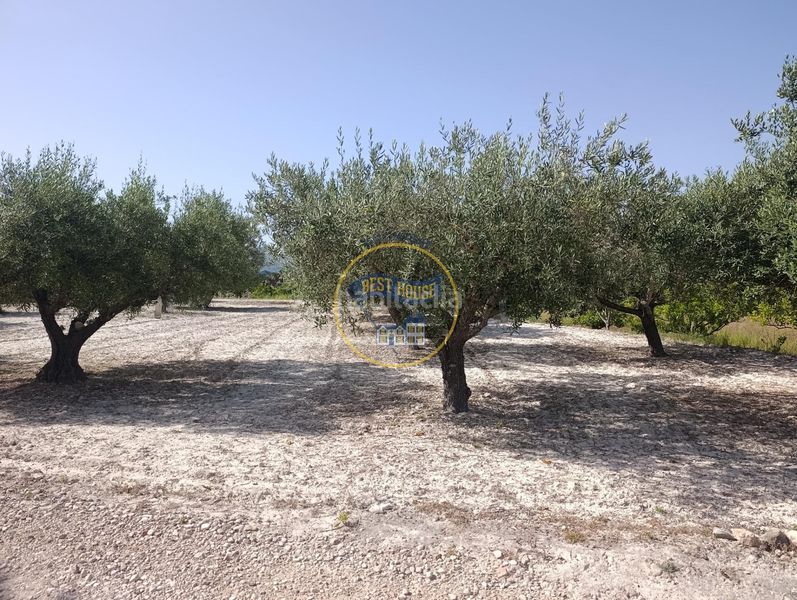 Foto 97a68795-cbd5-4610-b776-7eb92b756f5a. Finca rústica a Sant Josep-Zona Hospital Ontinyent