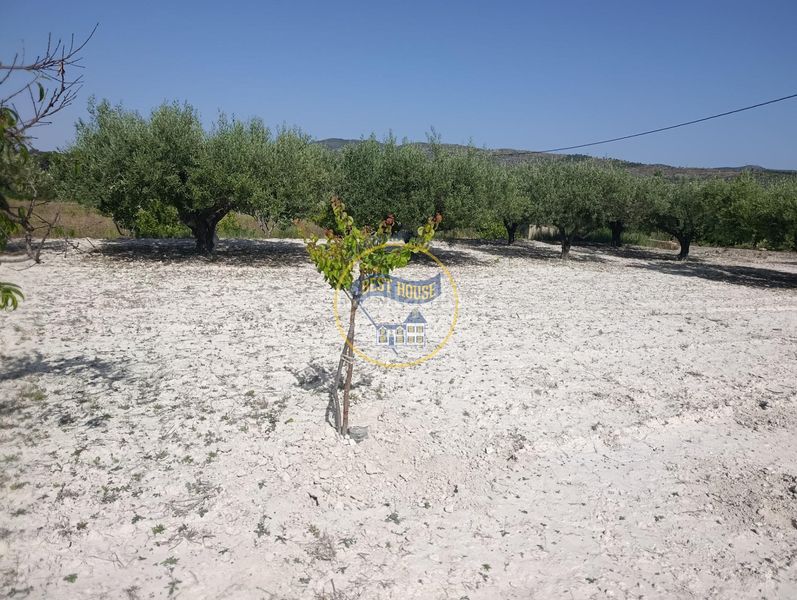 Foto c52f3f9f-f6fa-4a54-aa42-c79de1e5c68e. Finca rústica a Sant Josep-Zona Hospital Ontinyent