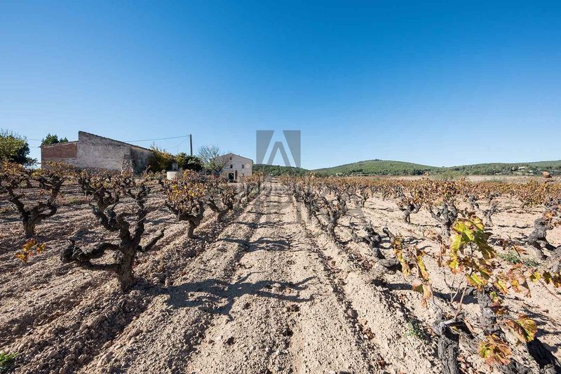Foto 325c2350-f413-4760-be28-eed47525ac7a. Masía finca con 100.000m2 de viñedos y dos casas señoriales en venta a 20 minutos de sitges en Sant Martí Sarroca