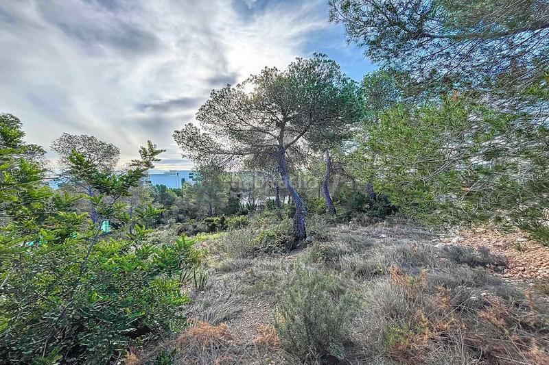 Foto 558f6832-dc15-4d5d-b39b-29411d238bea. Residential plot in Can Girona - Terramar - Vinyet Sitges