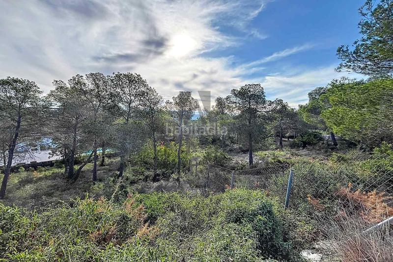 Foto a161222f-a173-4cf9-b452-a424e26e781e. Residential plot in Can Girona - Terramar - Vinyet Sitges