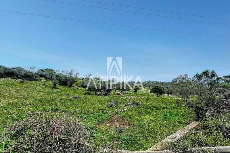 Foto b1856a16-5618-4363-a87f-62779a66e6af. Piso finca histórica con masía y torre del siglo xvi en venta en la costa de girona en Roses