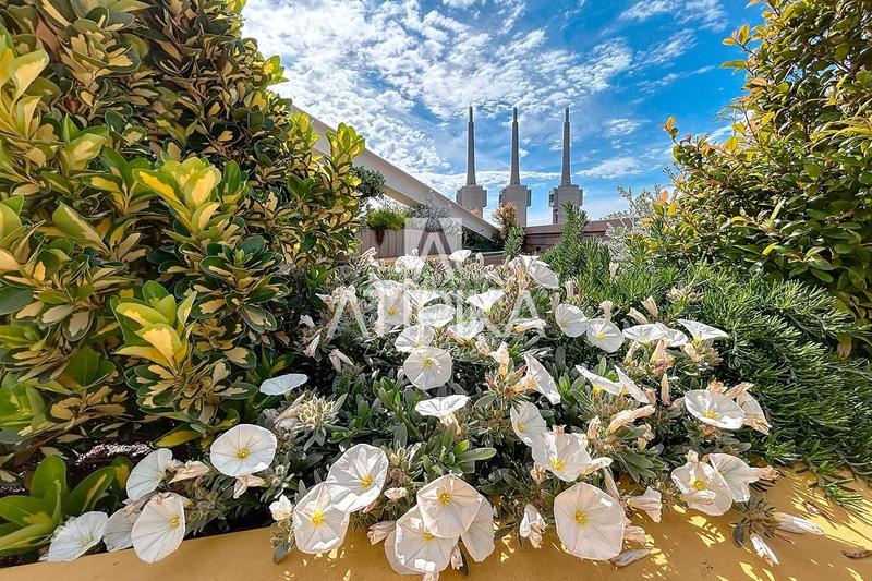 Foto f2760a8e-e5c0-4f89-a426-996eb1acfbfc. Location bureau dans El Remei Badalona