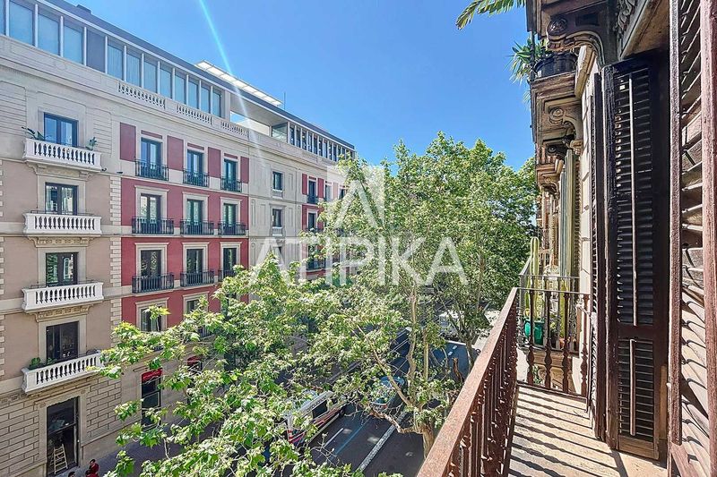 Foto 3cb31b54-4ccb-4126-ab67-0c431d6b5fd0. Pis a Dreta de l´Eixample Barcelona