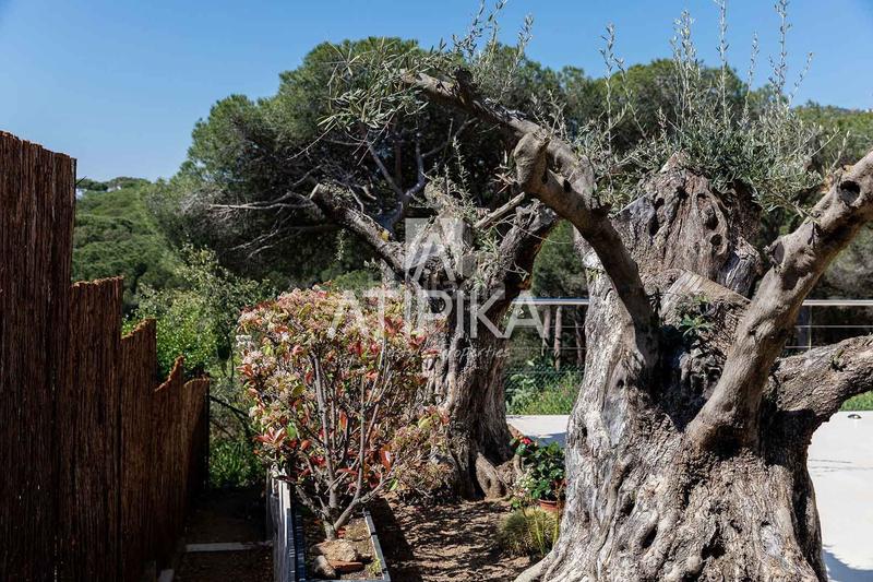 Foto d1c086bf-f177-47d1-a597-36138a97cdbf. Location maison avec chauffage parking dans Fenals Platja d´Aro